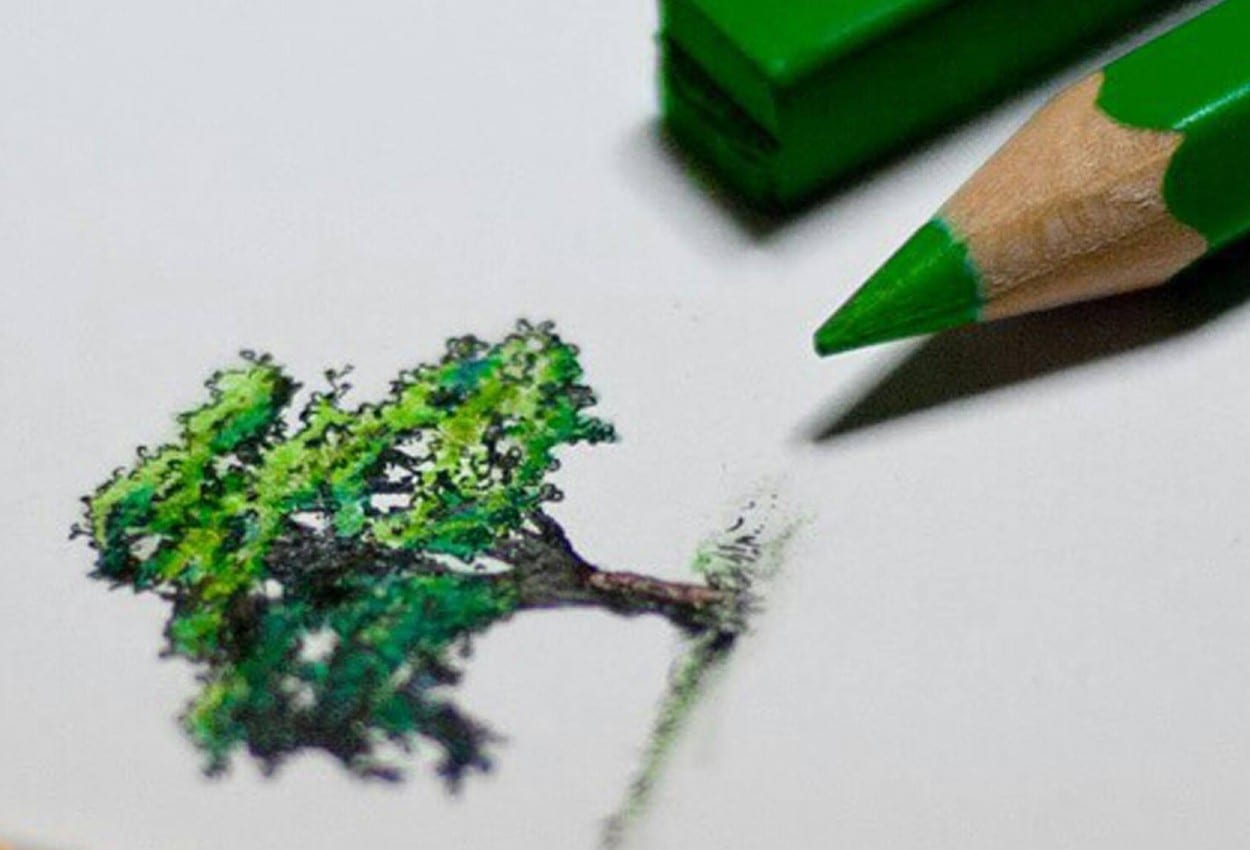 Estrategias de sustentabilidad: Faber-Castell fabrica lápices amigables con el medio ambiente