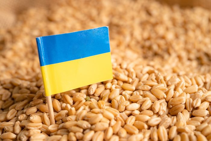 Se prevé posible reanudación de exportaciones de cereales de Ucrania