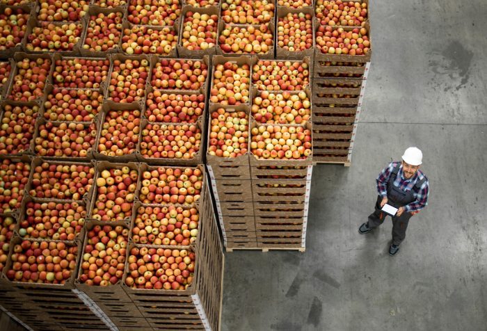 Exportación y distribución de alimentos a nivel mundial: análisis de la FAO