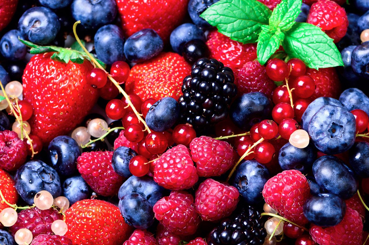 Aumenta exportación y producción de berries en Perú y México